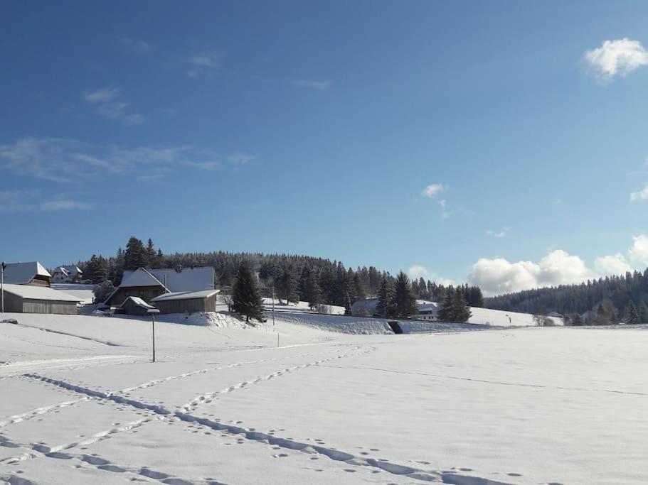 Haus Lucia, Mit Pool Und Sauna, Appartment 4 Schönwalde Kültér fotó